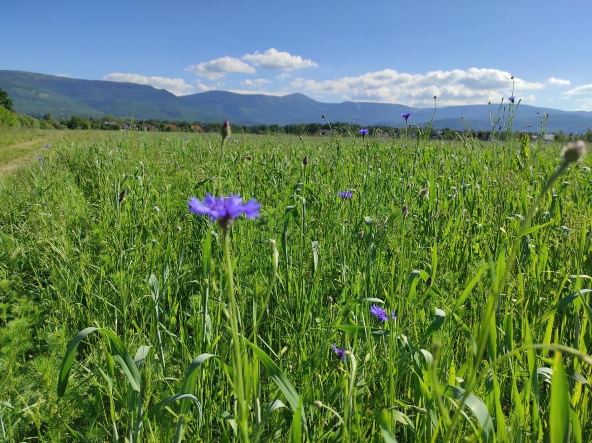 Willa Kolorowa Chata 6 Km Od Karpacza Mysłakowice Esterno foto
