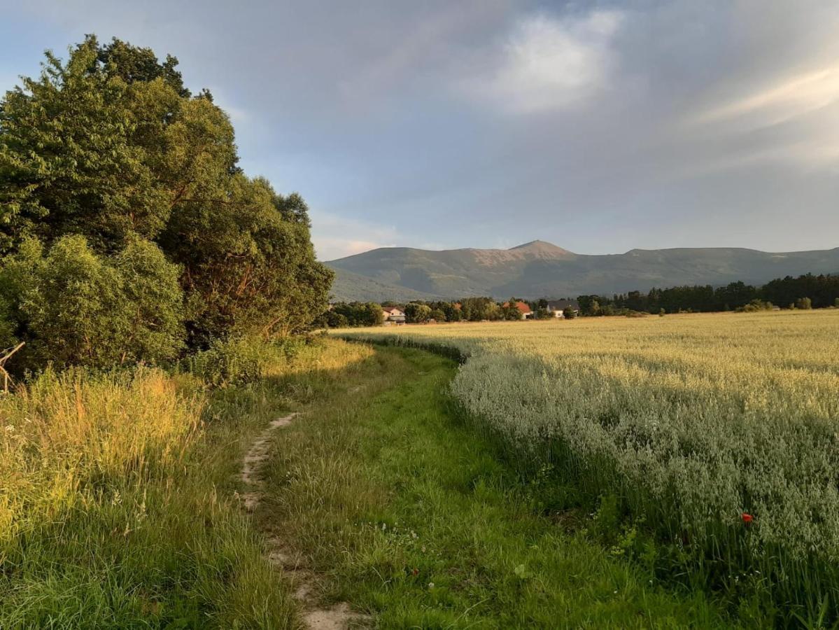 Willa Kolorowa Chata 6 Km Od Karpacza Mysłakowice Esterno foto